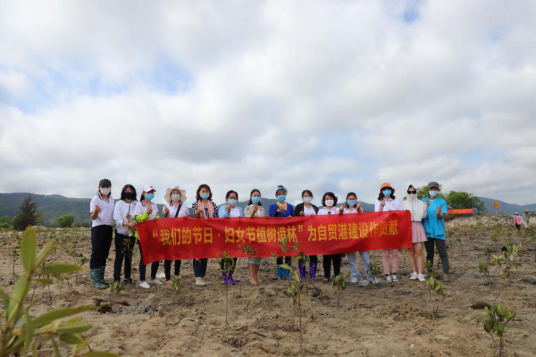 海上森林丨巾帼志愿者齐聚铁炉港 共同建设红树“海上森林”